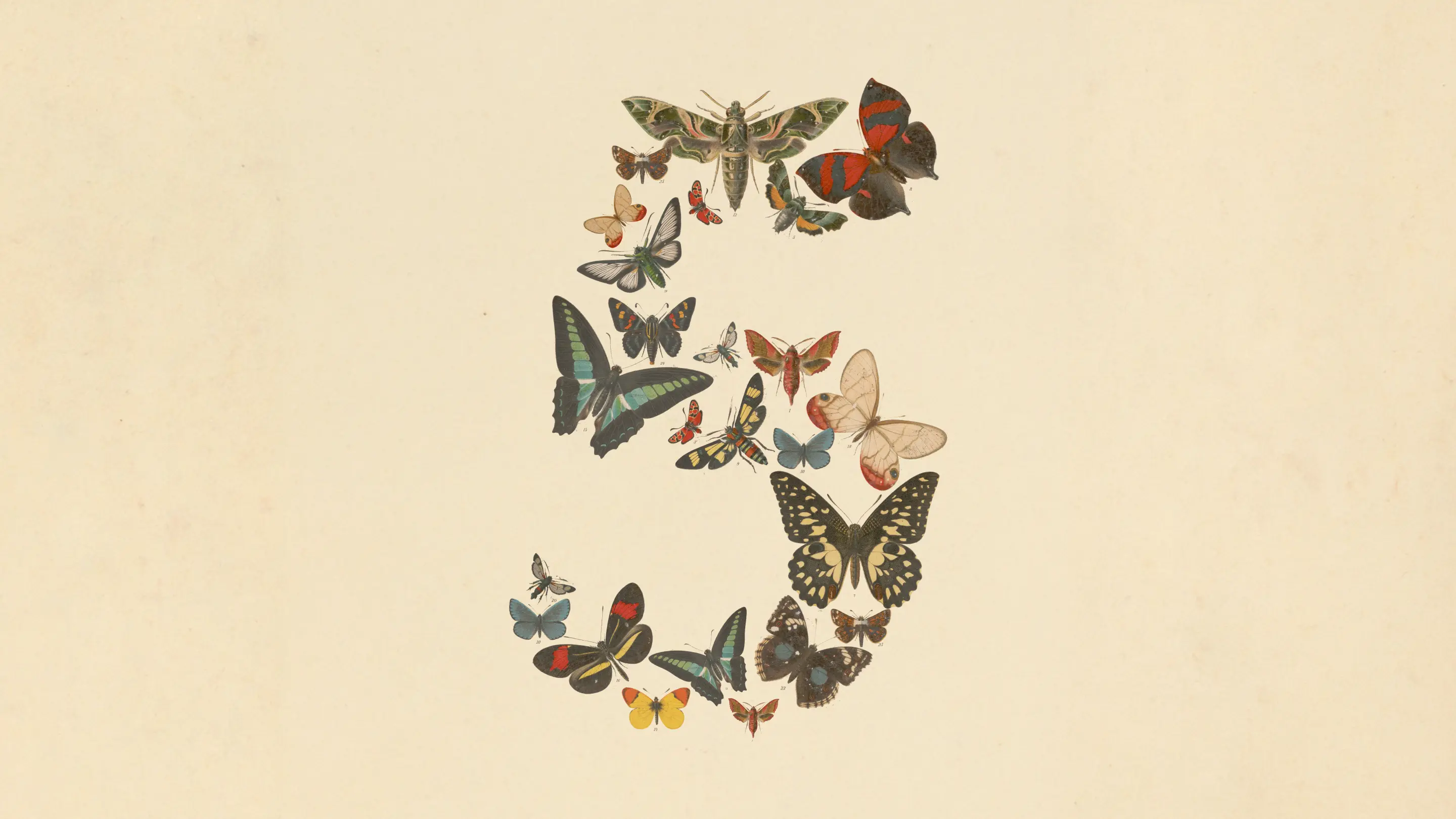 A question mark formed from butterfly illustrations on a pale background